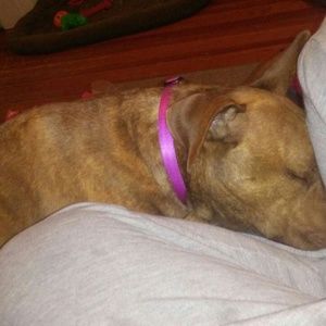 ❌🚺Something for All Females🚺❌